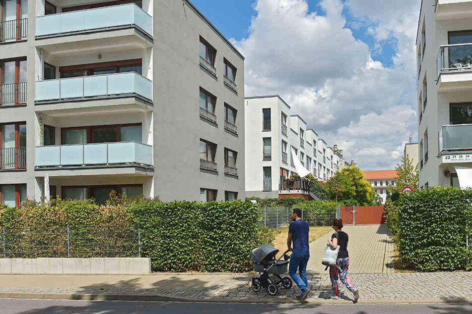 Für Neubaugebiete, wie hier oberhalb des Alaunparks, müssten zukünftig weniger Stellplätze gebaut werden.