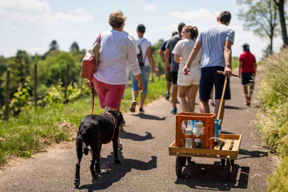 Stuttgart, 21. Mai 2020: Eine Gruppe geht am Vatertag mit einem Bollerwagen durch die Weinberge rund um die Stadtteile Rotenberg und Uhlbach.