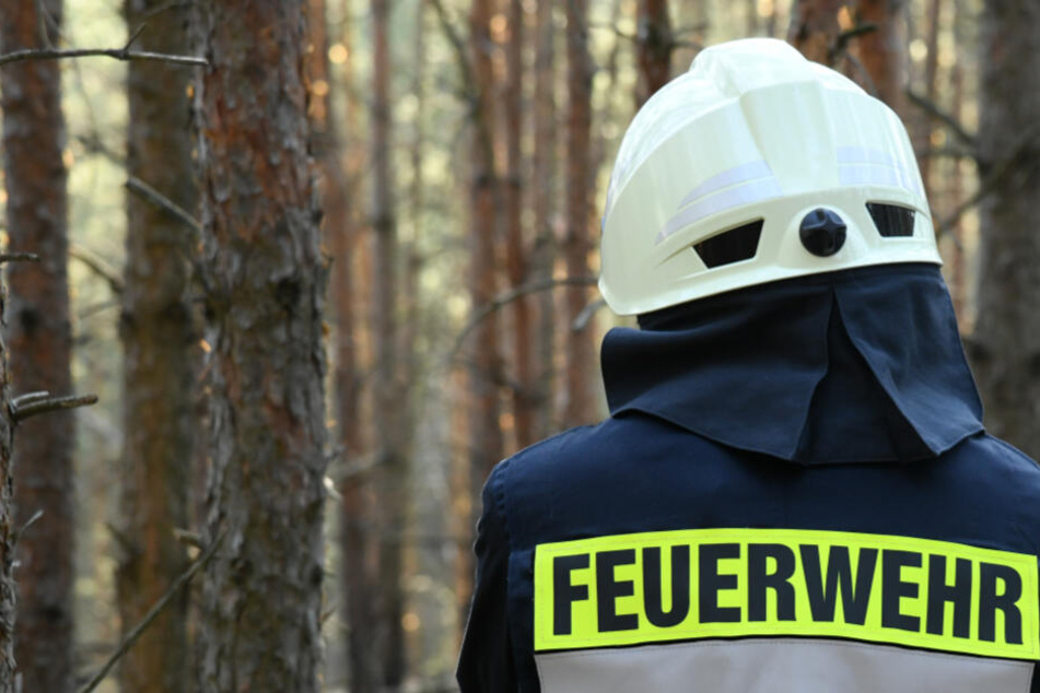Ein Feuerwehrmann in einem Wald. (Symbolbild)