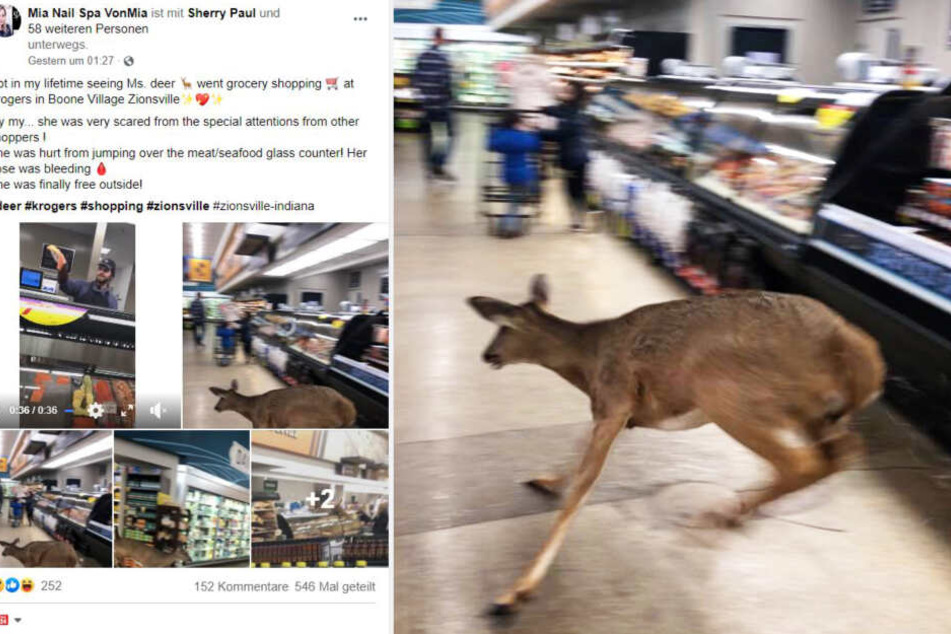 So teilte Mia die Fotos des Vorfalls auf Facebook.
