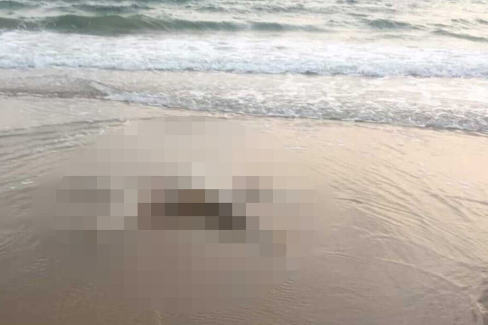 Eine der zwei Leichen, die an einen Strand angespült wurde.