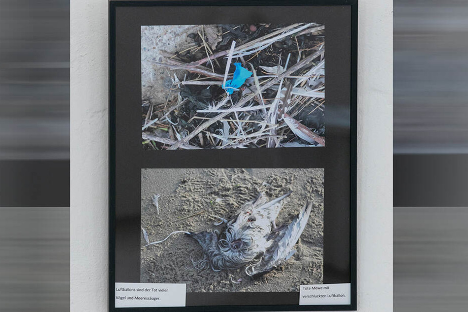 In seiner Ausstellung über das Wattenmeer zeigt Bernert, was dort als Todesfallen angeschwemmt wird.