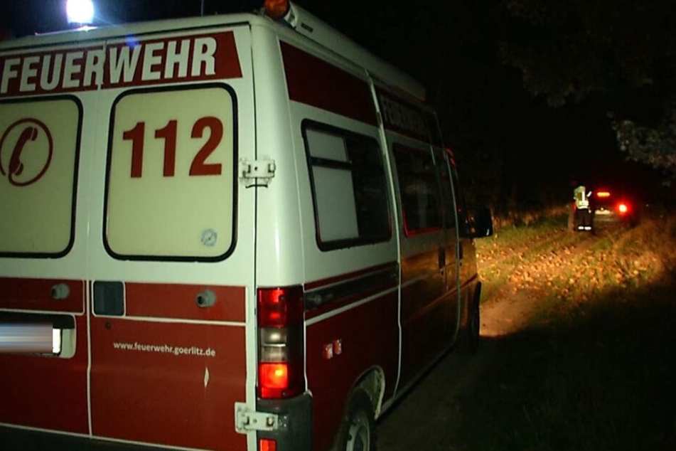 In der Dunkelheit suchte unter anderem die Feuerwehr zunächst vergeblich nach der noch verschollenen Kuh.