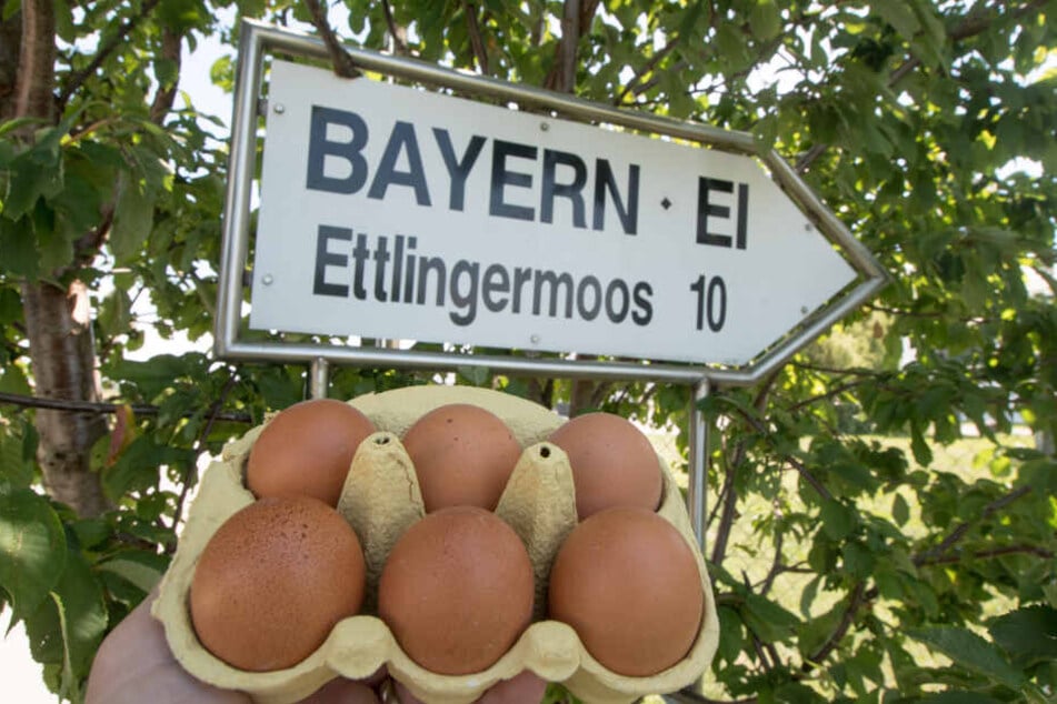 Eier werden vor ein Schild mit der Aufschrift "Bayern - Ei" nahe dem Betriebsgelände der Firma gehalten.