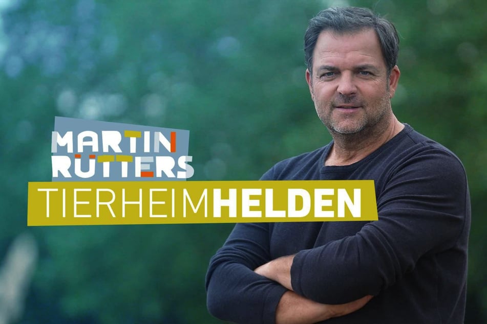 In der VOX-Sendung "Martin Rütters Tierheimhelden" erhält der Hundetrainer viele Eindrücke aus Deutschlands Tierheimen.