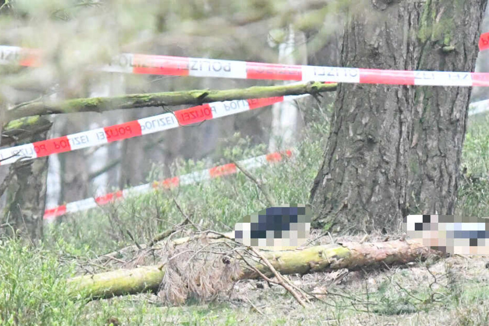 Schock-Fund: Spaziergänger entdeckt zwei Leichen im Wald