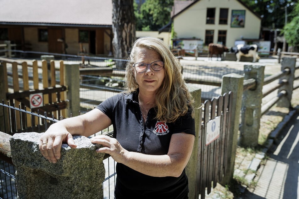 Tierpark-Kuratorin Catrin Hammer (56) bekommt immer mehr verletzte Igel in die Auffangstation.