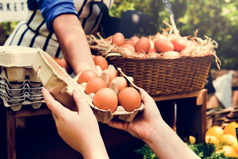 Frische Eier vom Hühnerhof um die Ecke: Auf den Magdeburger Wochenmärkten kann man regional einkaufen. (Symbolbild)