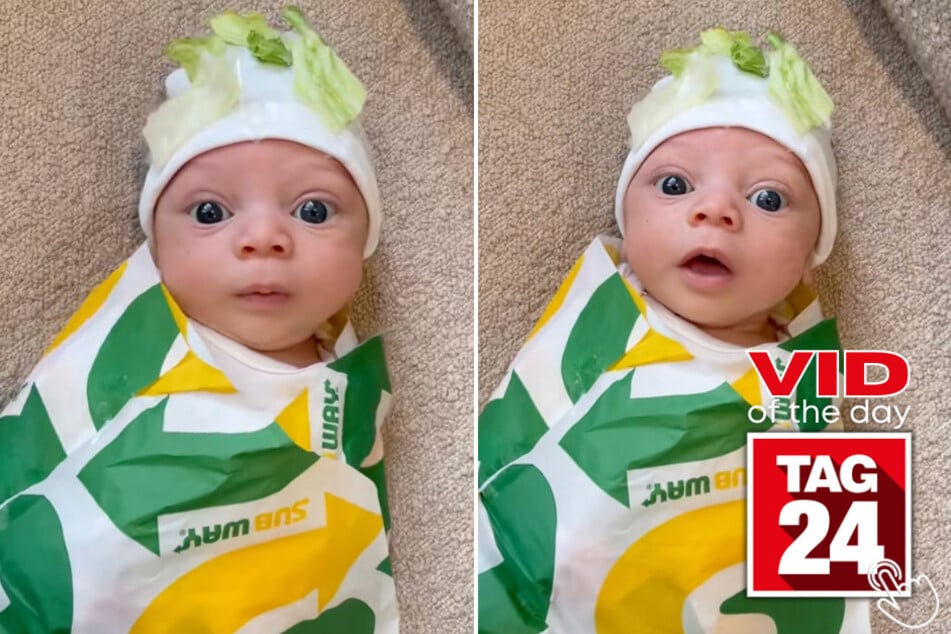 This baby's Halloween costume might be the cutest thing you'll see all week!