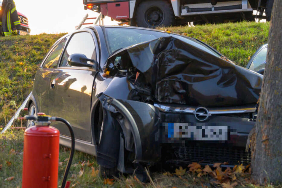 Der Baum drückt die Motorhaube komplett zusammen.