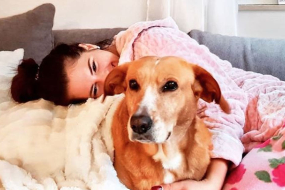 Ihr ein und alles: Jenny Frankhauser und ihre Hündin Priscilla.