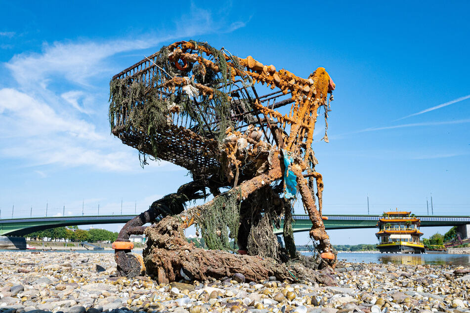 Benjamin Westhoffs zweitplatziertes Foto zeigt den Rhein bei Bonn, aus dessen ausgetrocknetem Flussbett ein Einkaufwagen aufgetaucht ist.