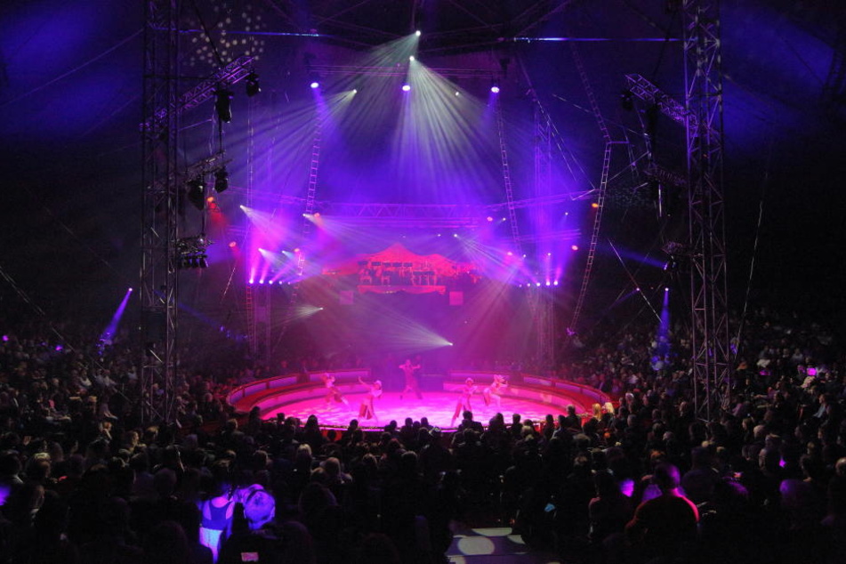 Mega-Premiere beim Weihnachts-Circus.