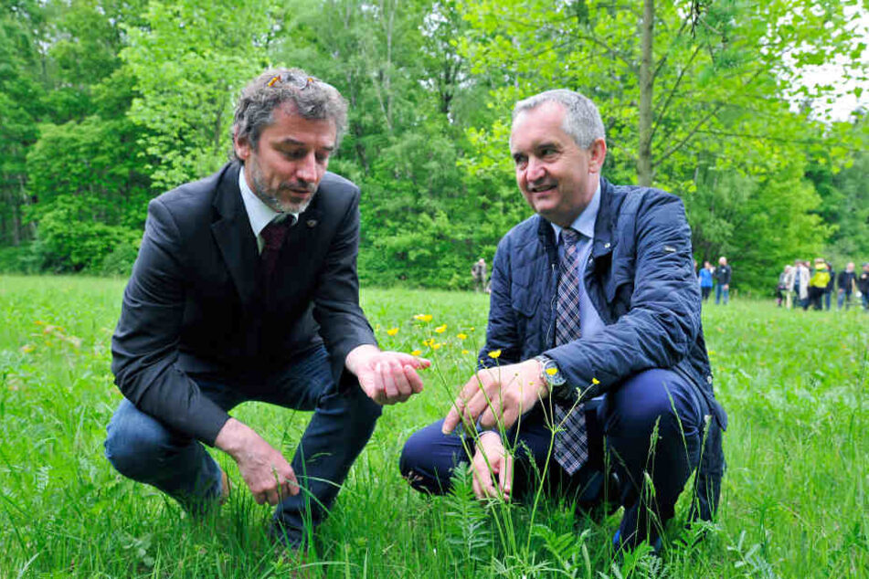 Insekten-Experte Dr. Matthias Nuß (51, l.) zeigt Umwelt- und Agrarminister Thomas Schmidt (56, CDU), wie eine intakte Wiese aussieht. 