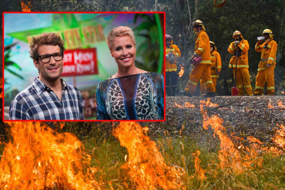 Dschungelcamp im australischen Inferno: RTL sammelt Spenden