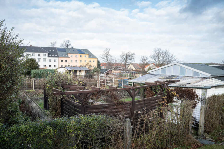 40 Gartensparten sollen Eigenheimen weichen. Der Investor macht bald ernst und beginnt mit den Bauarbeiten.