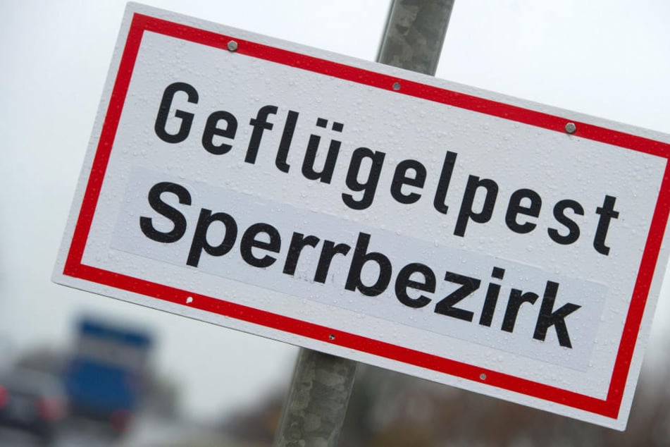 Ein Schild mit der Aufschrift "Geflügelpest Sperrbezirk" steht an einer Straße.