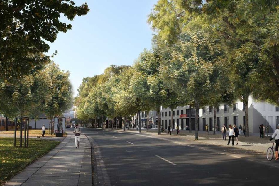 So sollte der Promenadenring in Höhe des Dr. Külz-Rings aussehen.