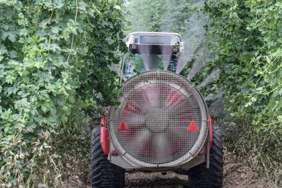 Oft setzen Landwirte Pestizide zum Pflanzenschutz ein. Könnte die Gentechnik mehr Einfluss bekommen? (Symbolbild)