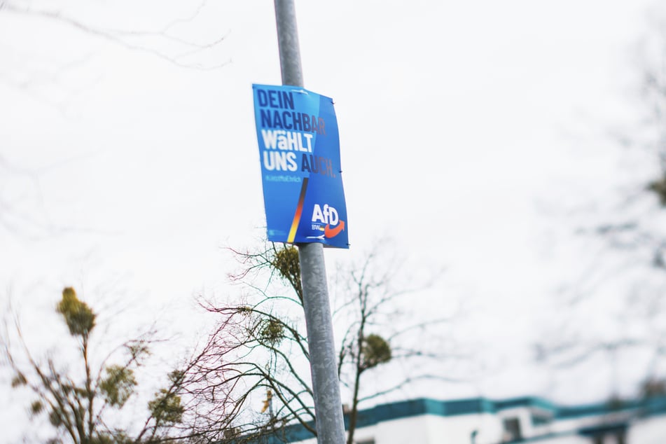 Ein Wahlplakat der AfD: Es werden auch Flyer auf Kyrillisch und Türkisch verteilt.