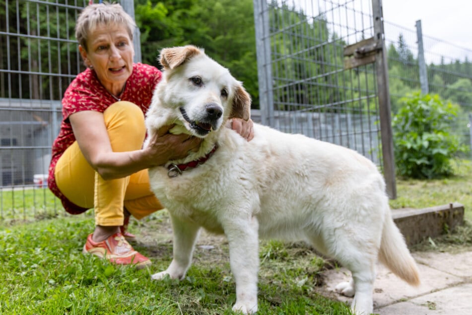 Susanne Trommler mit Hund "Elora" (6): Noch ist unklar, ob es für das Tierheim Fördermittel gibt.
