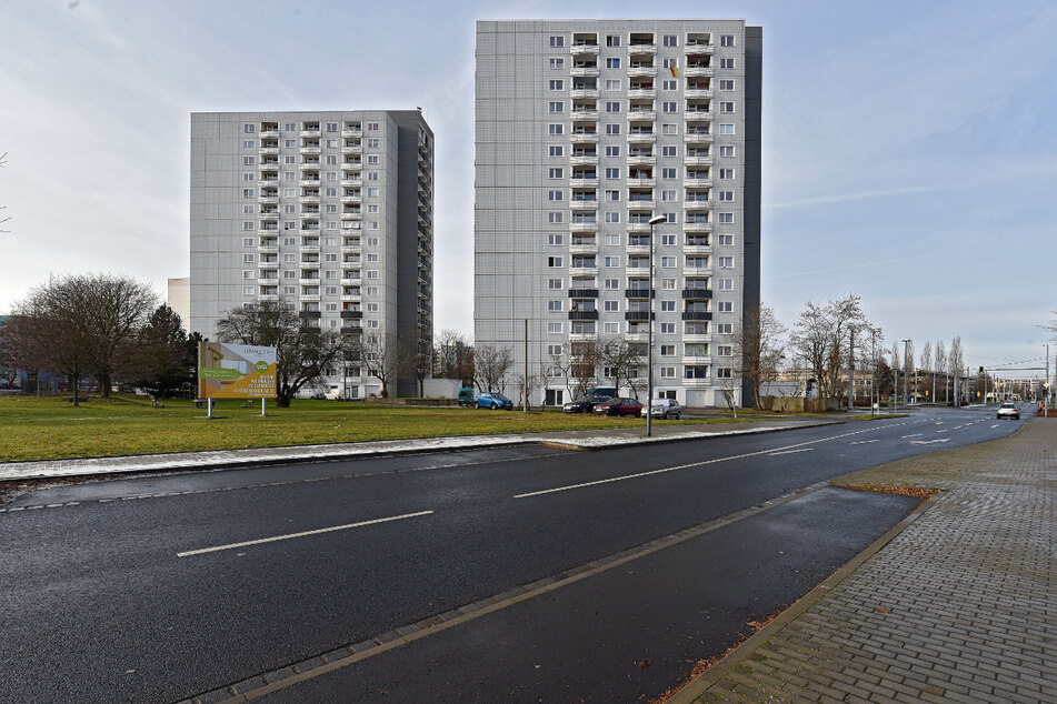 Brutstätte Balkonien: Der Hochhausriese (l.) am Albert-Wolf-Platz in Prohlis traf offenbar den Geschmack des Turmfalkenpaares.