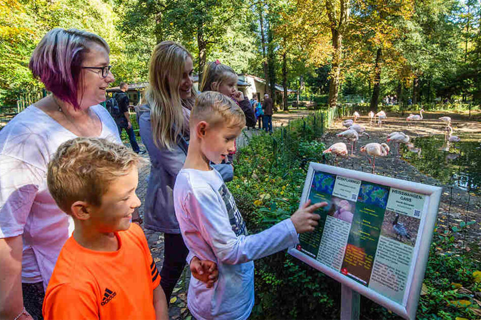 Maximus (v.l.) und Adrian (r.) erkunden mit ihren Müttern Marlen (l.) und Gloria (M.) den Tierpark. Zusammen mit dem Wildgatter bietet er Ferienführungen an.