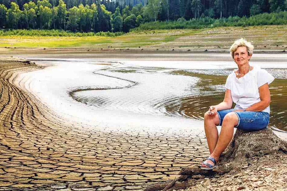 Kathrein Göhler (56) wuchs an der Talsperre Lehnmühle auf. Als Kind erkundete sie bereits 1975 die Bergahorn-Stümpfe.