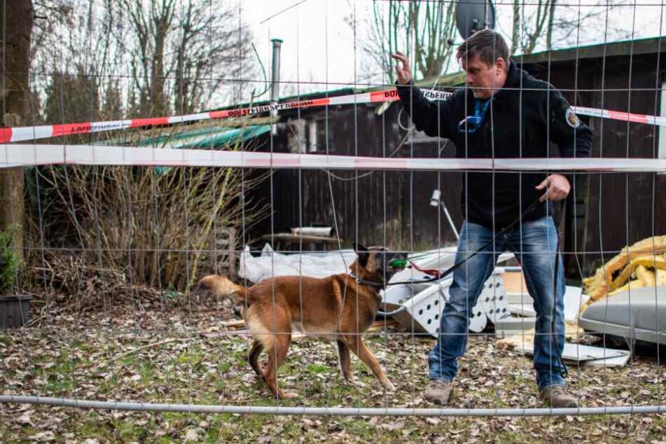 Jörg Siebert steht mit seinem Belgischen Schäferhund Artus, der auf Datenträger spezialisiert ist, an der abgesperrten Parzelle des mutmaßlichen Täters.