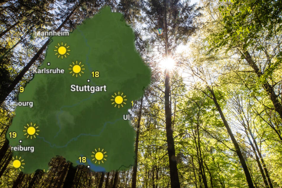 Das Wetter wird zum Anfang der Woche wieder freundlich.
