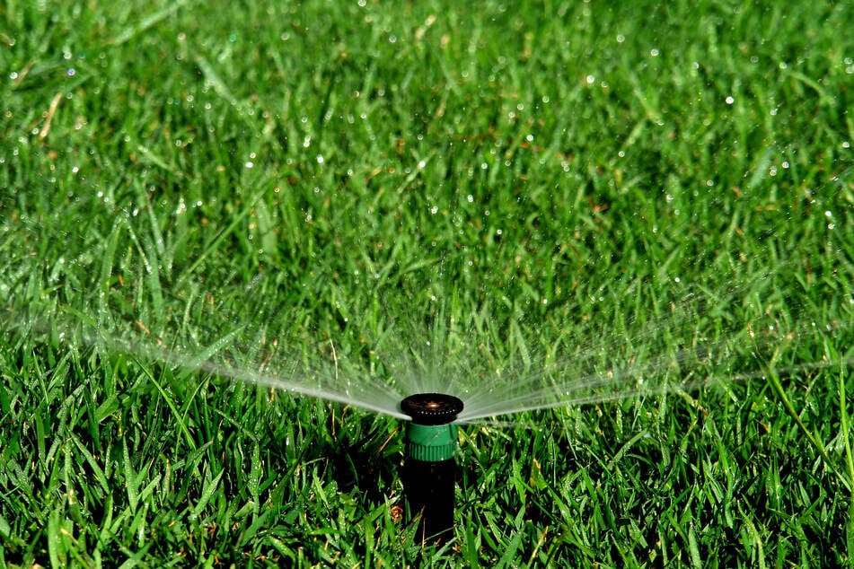 Bei der regelmäßigen Rasenpflege sollte das Bewässern nicht zu kurz kommen.