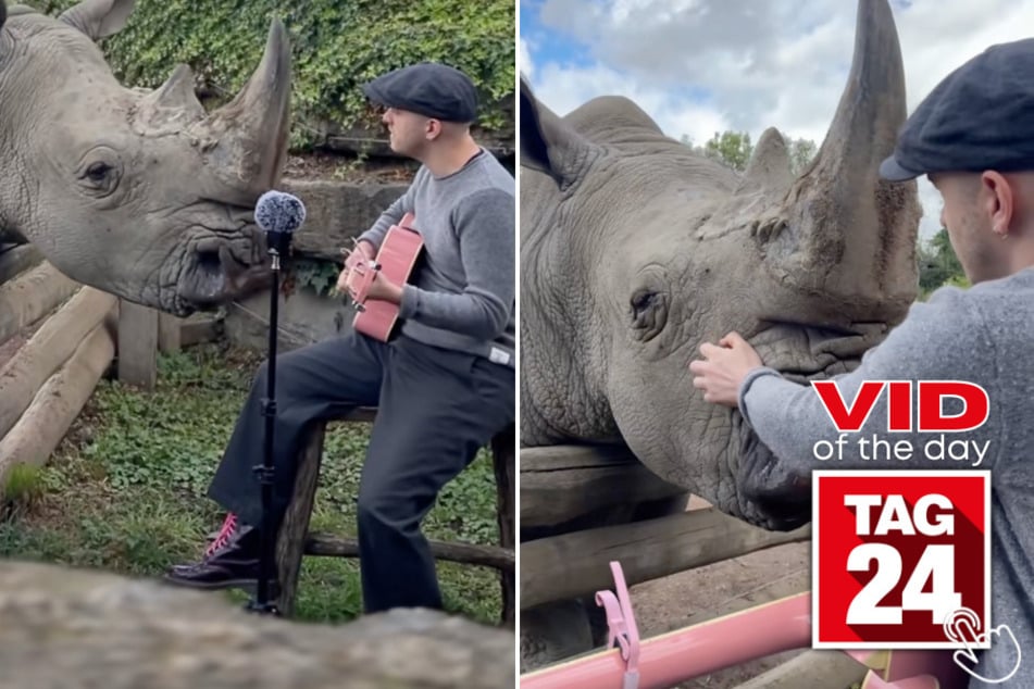 This man performed a song for a rhino - and the rhino's reaction is pure magic!