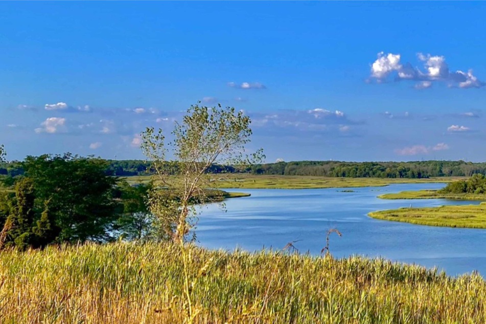 Freshkills Park has been transformed from a landfill to a city park, which will be three times the size of Manhattan's Central Park when it fully opens in 2036.