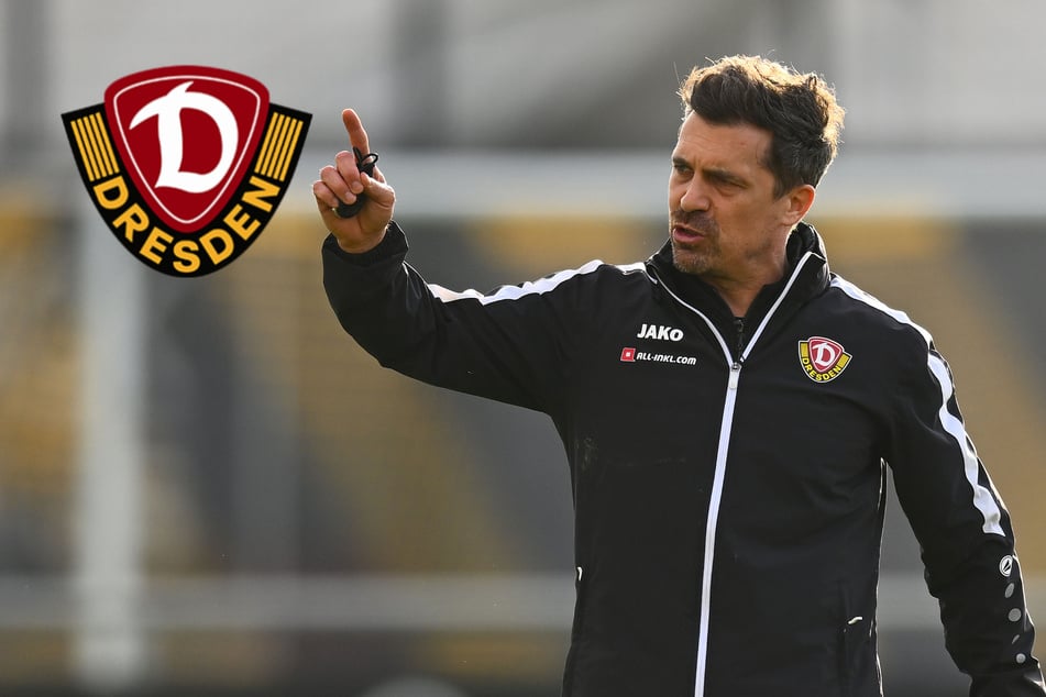 Keine Schnellschüsse! Was Dynamo anders macht als die Keller-Konkurrenz