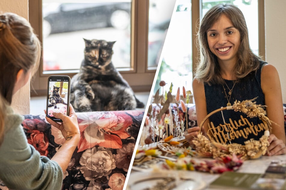 Miau! Im Katzencafé wird jetzt gebastelt