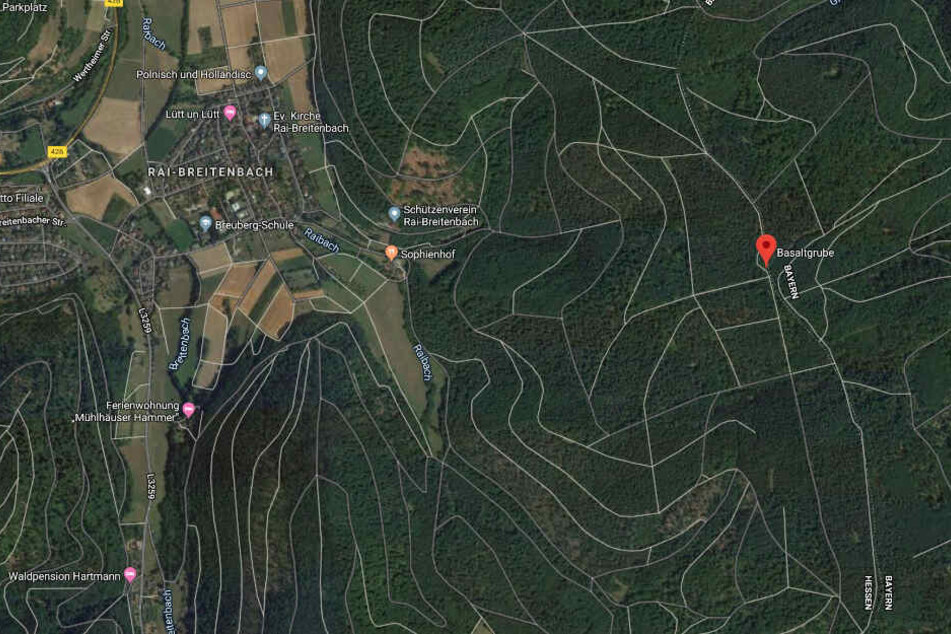 Mehrere Baumwurzeln wurden auf der Strecke zwischen Sophienhof und der Basaltgrube mit massiven Nägeln gespickt.