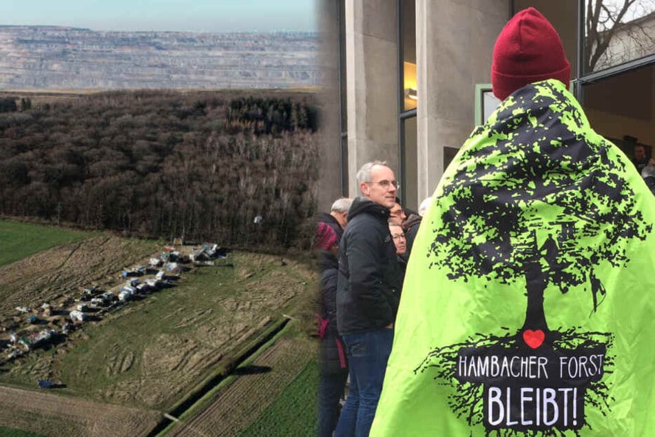 Gericht lehnt Garantie für Erhalt des Hambacher Forsts ab