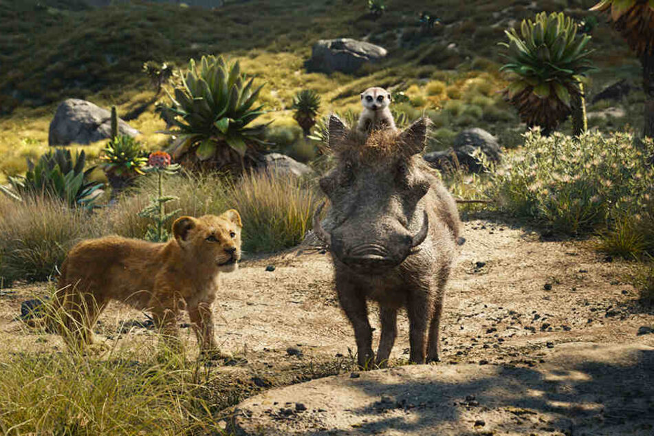 Simba (l.) schließt sich Erdmännchen Timon (oben) und Warzenschwein Pumbaa an und lernt eine alternative Lebensweise kennen.
