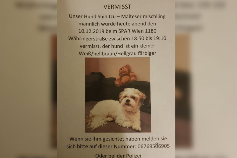 Auch per Flyer sucht Melita nach ihrem Liebling.