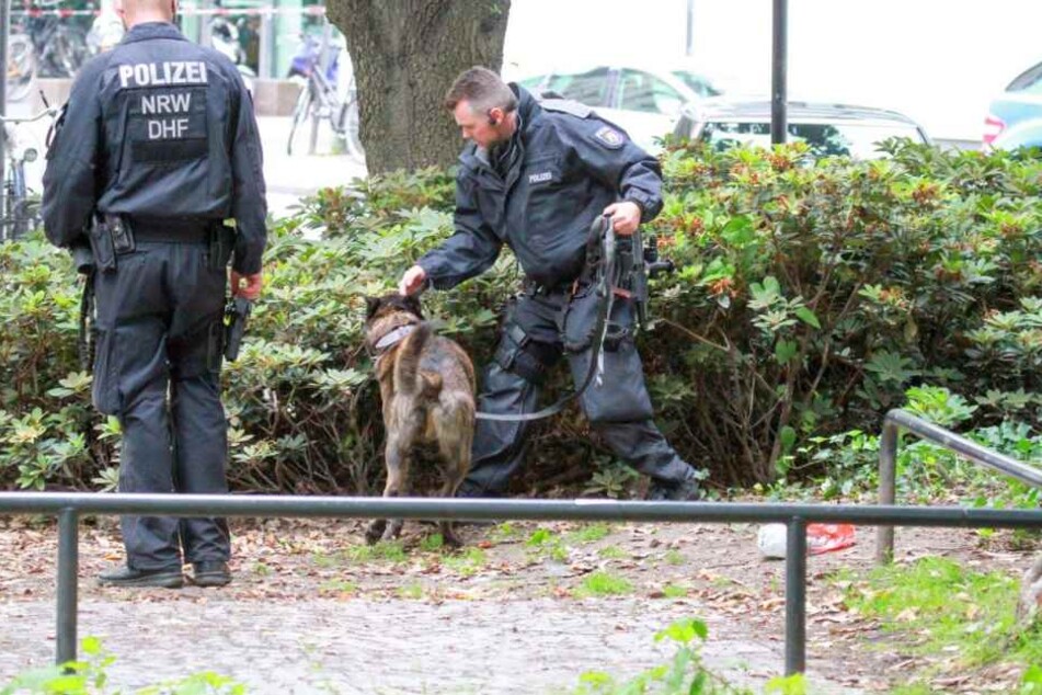 Mit einem Spürhund untersuchte die Polizei den Tatort in der Kölner Innenstadt.