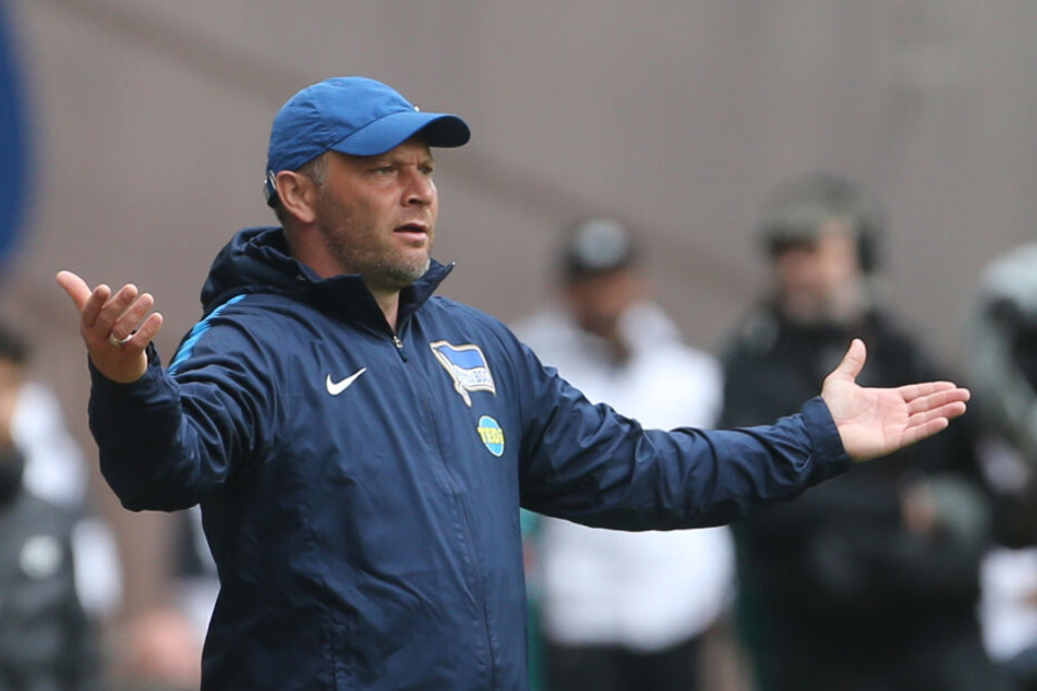Pal Dardai forderte einen mutigen Auftritt seiner Mannschaft.