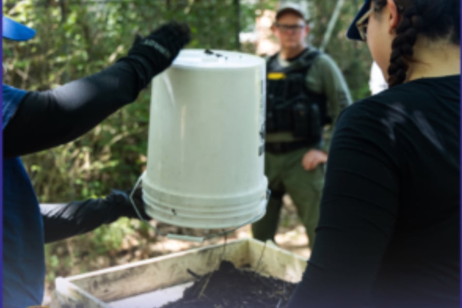 In einem bewaldeten Gebiet in Memphis (Tennessee, USA) wurden menschliche Überreste von drei Kindern im Alter von drei bis sieben Jahren gefunden.