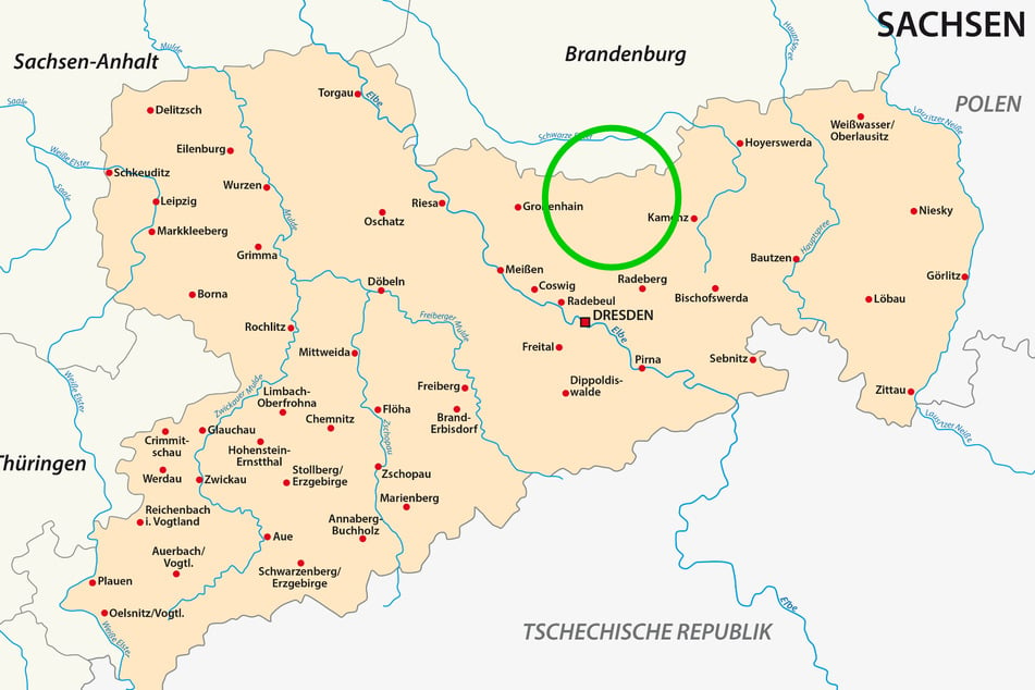 Dreißig Kilometer nordöstlich von Dresden beginnt die Wildnis. Das über 7000 Hektar große Schutzgebiet erstreckt sich bis nach Brandenburg.