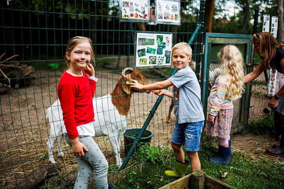 Leipzig: Sachsens einziger Bauernhof-Kindergarten: Hier lernen die Kleinen viel über das Leben