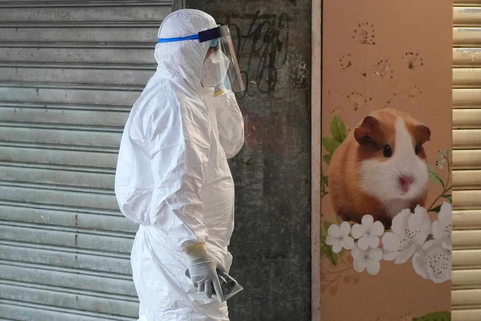 Aus Angst vor Corona-Übertragung: Tausende Hamster müssen sterben!