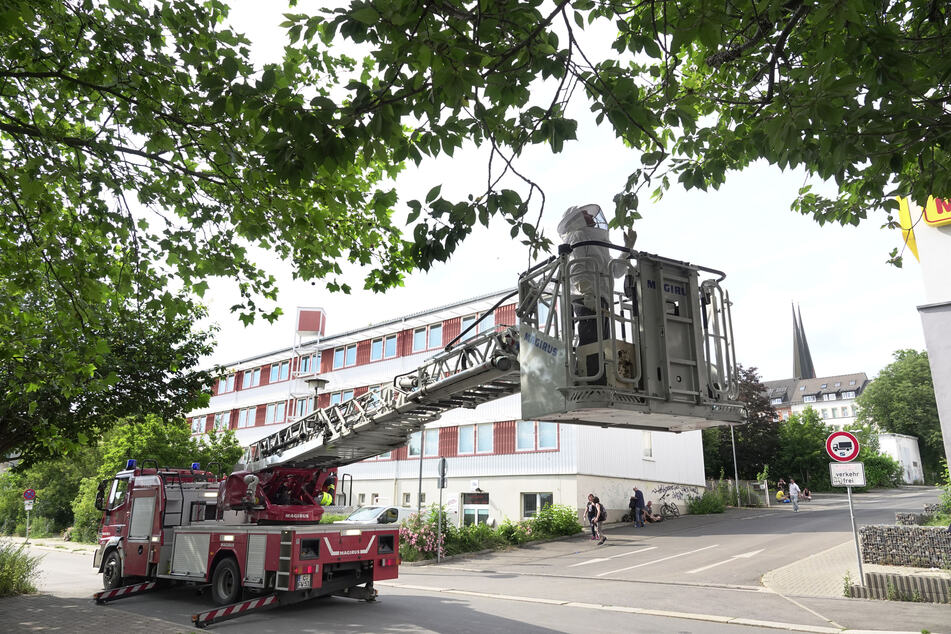 Gemeinsam mit einer Bienenhalterin holte die Feuerwehr den Schwarm aus dem Baum.
