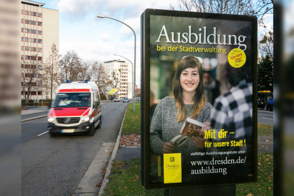 City-Light-Plakaten der Stadt werben um helle Köpfe.