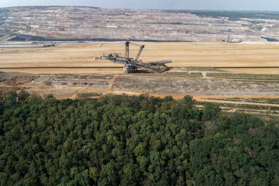 Im Vordergrund ist der Hambacher Wald zu sehen.