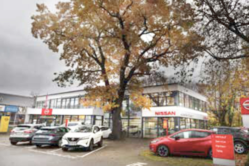 In Friedrichstadt an der Bremer Straße..