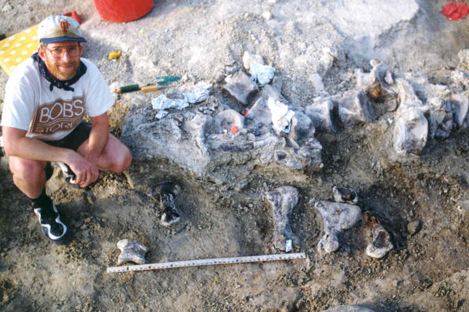 Ein Mitglied des Grabungsteams kniet neben den Fußknochen. Er soll von einem nahen Verwandten der Brachiosaurier stammen.